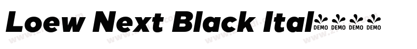Loew Next Black Ital字体转换